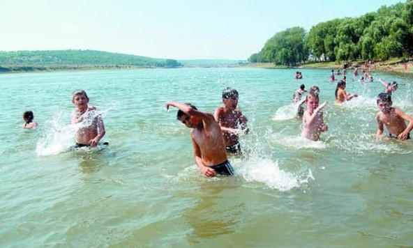 تۇركىستان وبلىسىندا 70-كە جۋىق جاڭا جاعاجاي اشىلادى