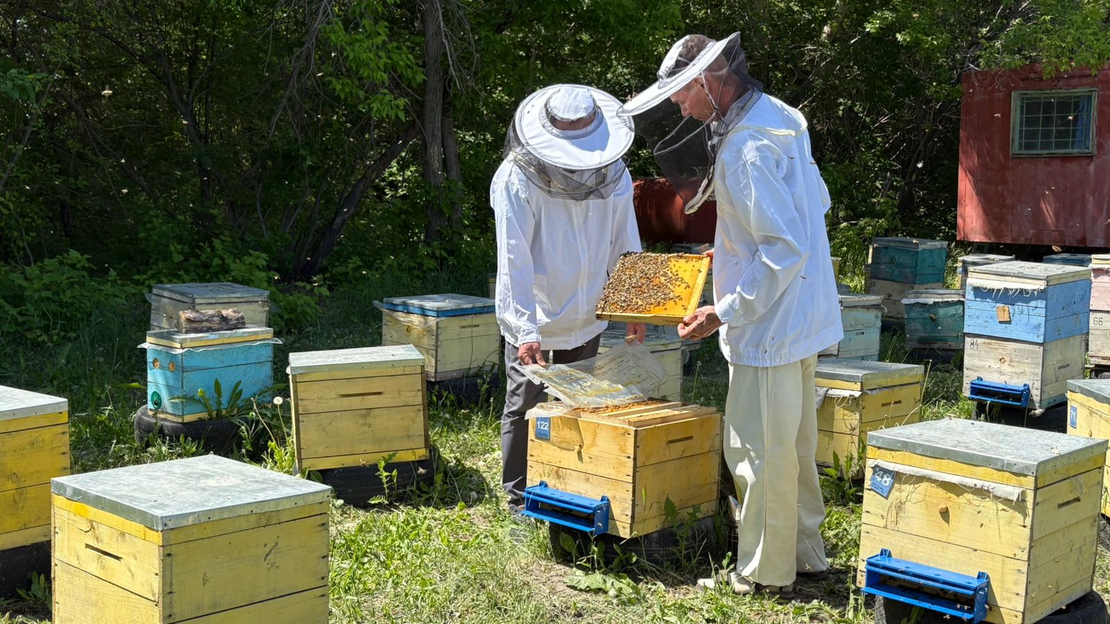 ۇزدىك ومارتاشىلار ارداقتالدى