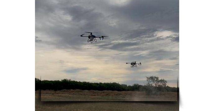 الماتى وبلىسىندا شەگىرتكەگە قارسى كۇرەس جالعاسىپ جاتىر