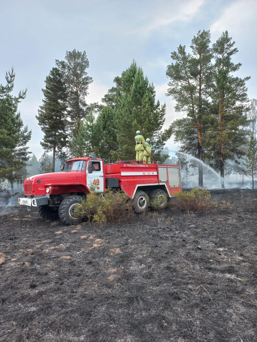 ەرتىس ورمانىنا نايزاعاي ءتۇسىپ, ءورت شىقتى