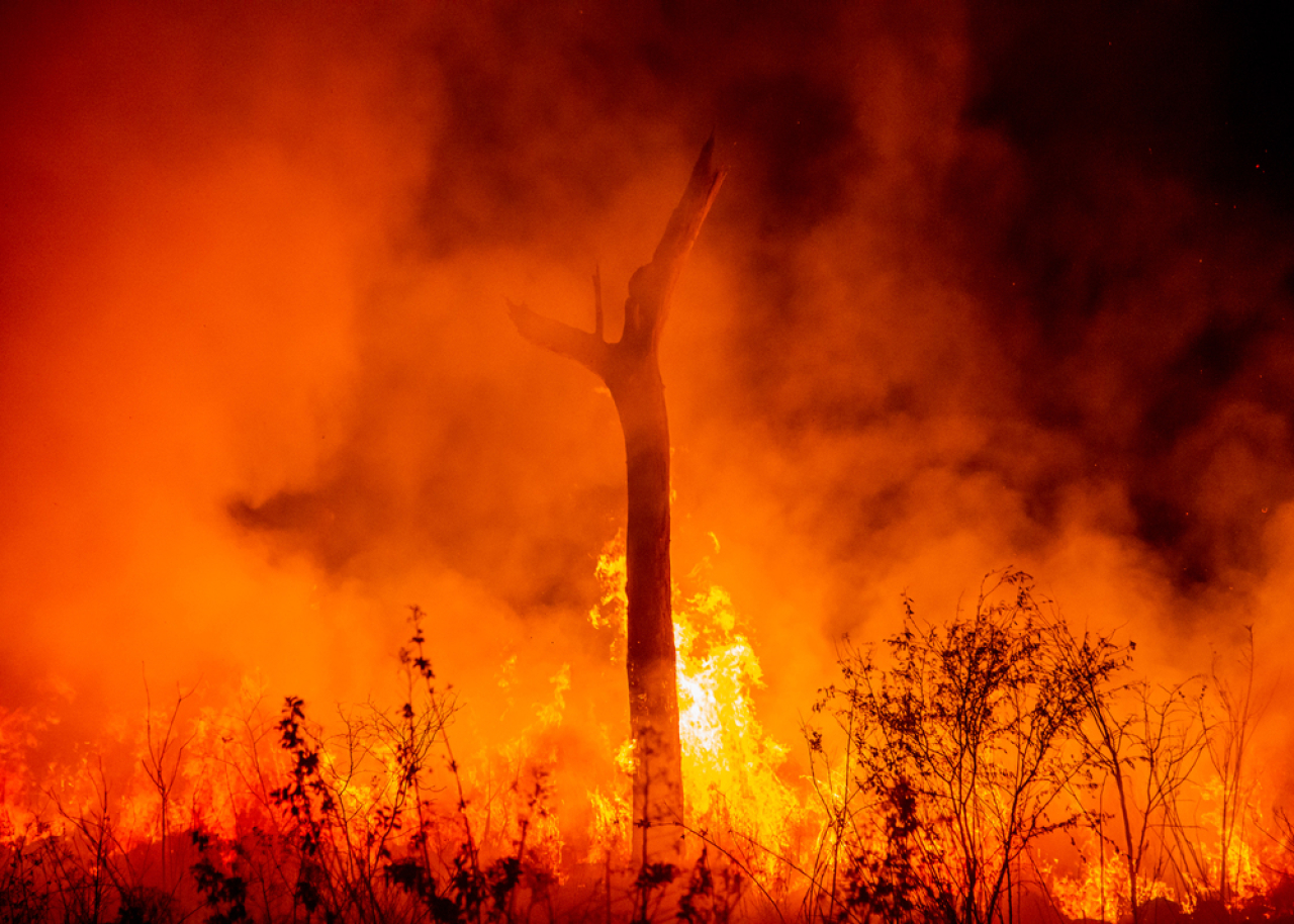 كاناداداعى ورمان ورتىنەن مىڭداعان ادام ەۆاكۋاتسيالاندى