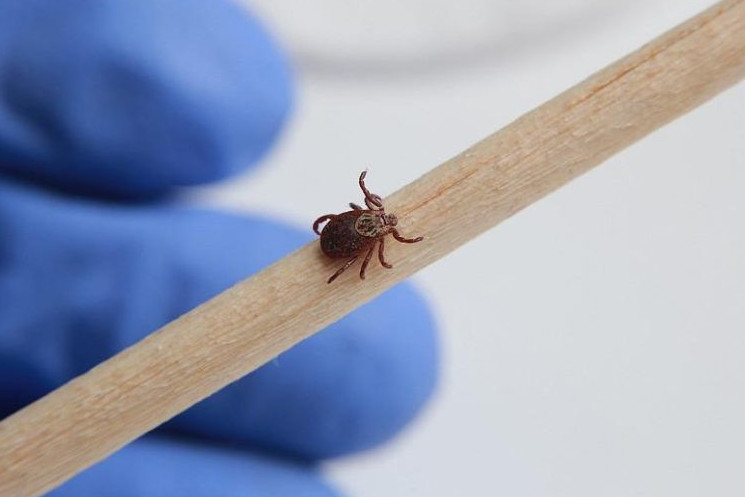 ازاماتتاردى كەنە شاعۋ دەرەگى كوبەيگەن - دسم