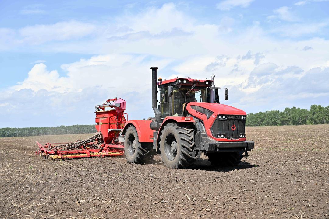 مايلى داقىلدىڭ ماڭىزى زور