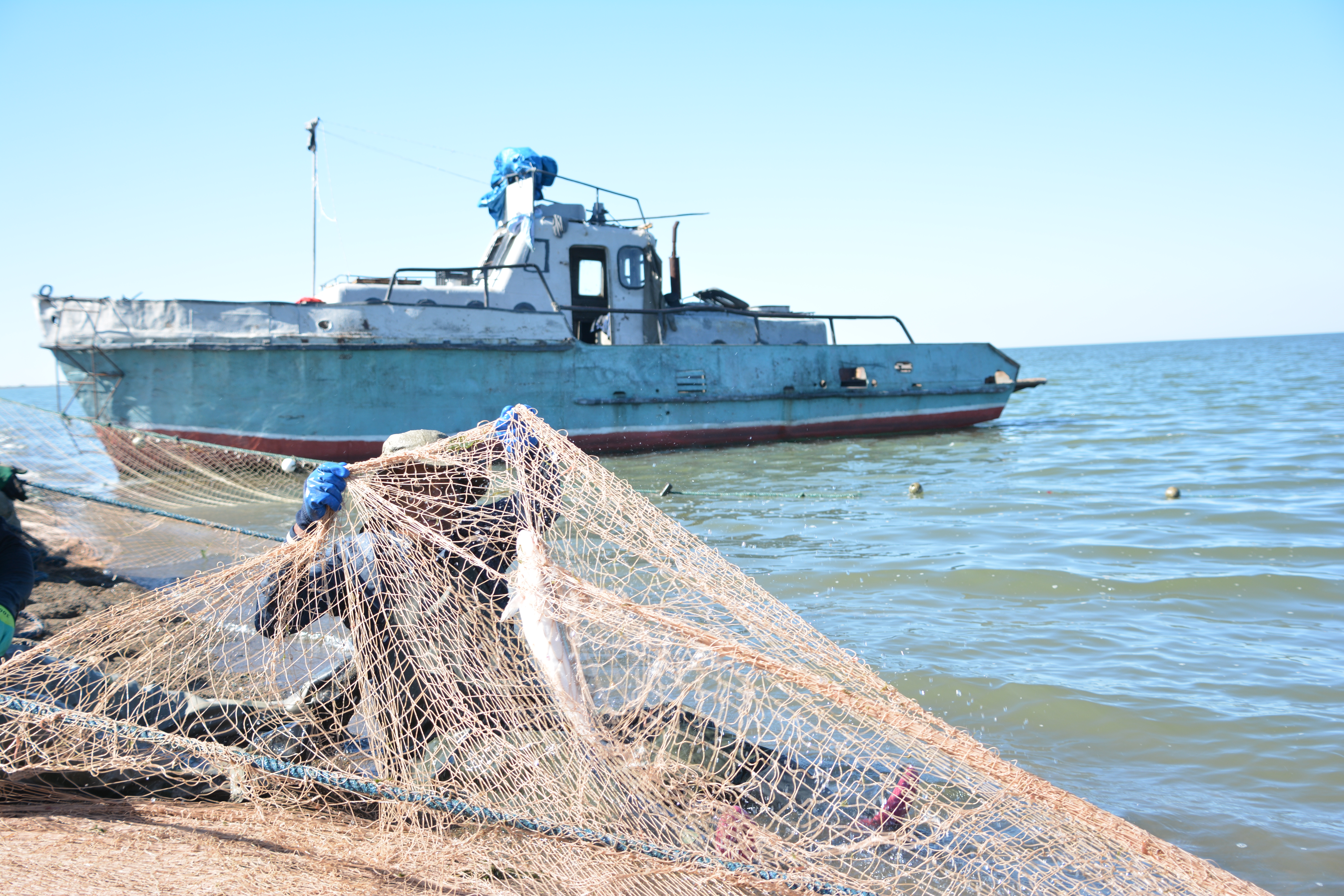 زاڭسىز بالىق اۋلاۋشىلارعا 10 ملن تەڭگە ايىپپۇل سالىندى