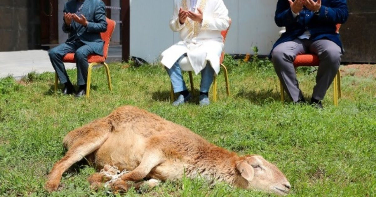 قارىزى بار ادام قۇرباندىق شالماي ما؟
