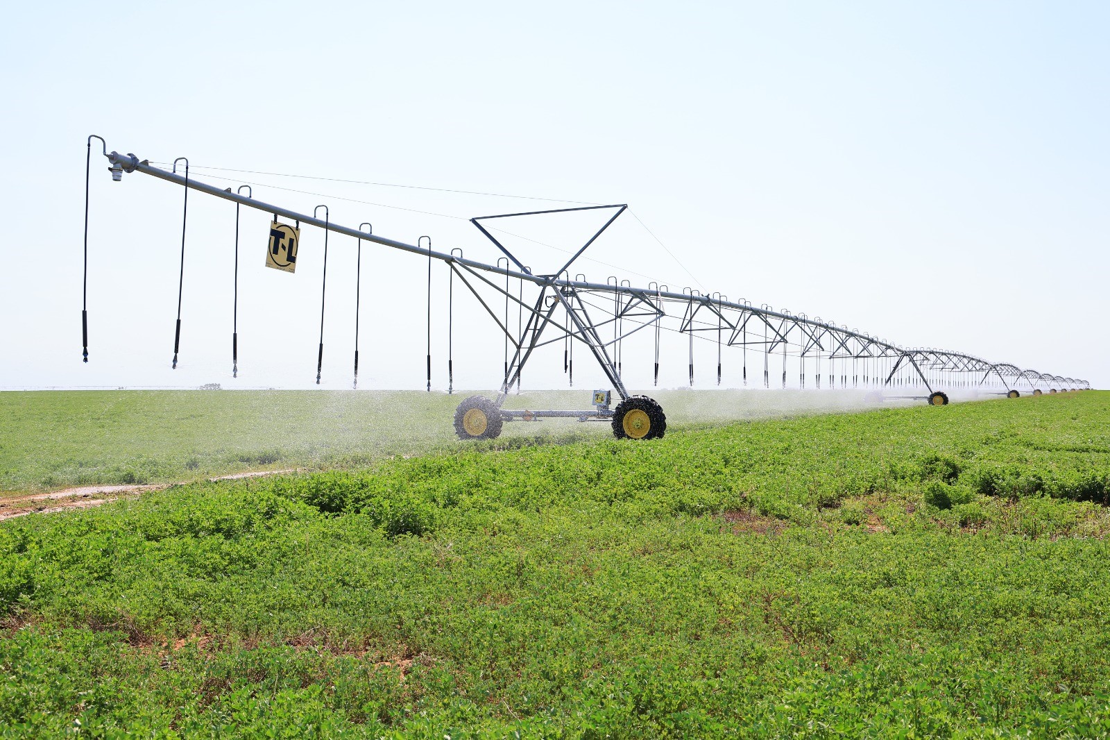 تۋعان جەرگە تىرەك بولار جوبا