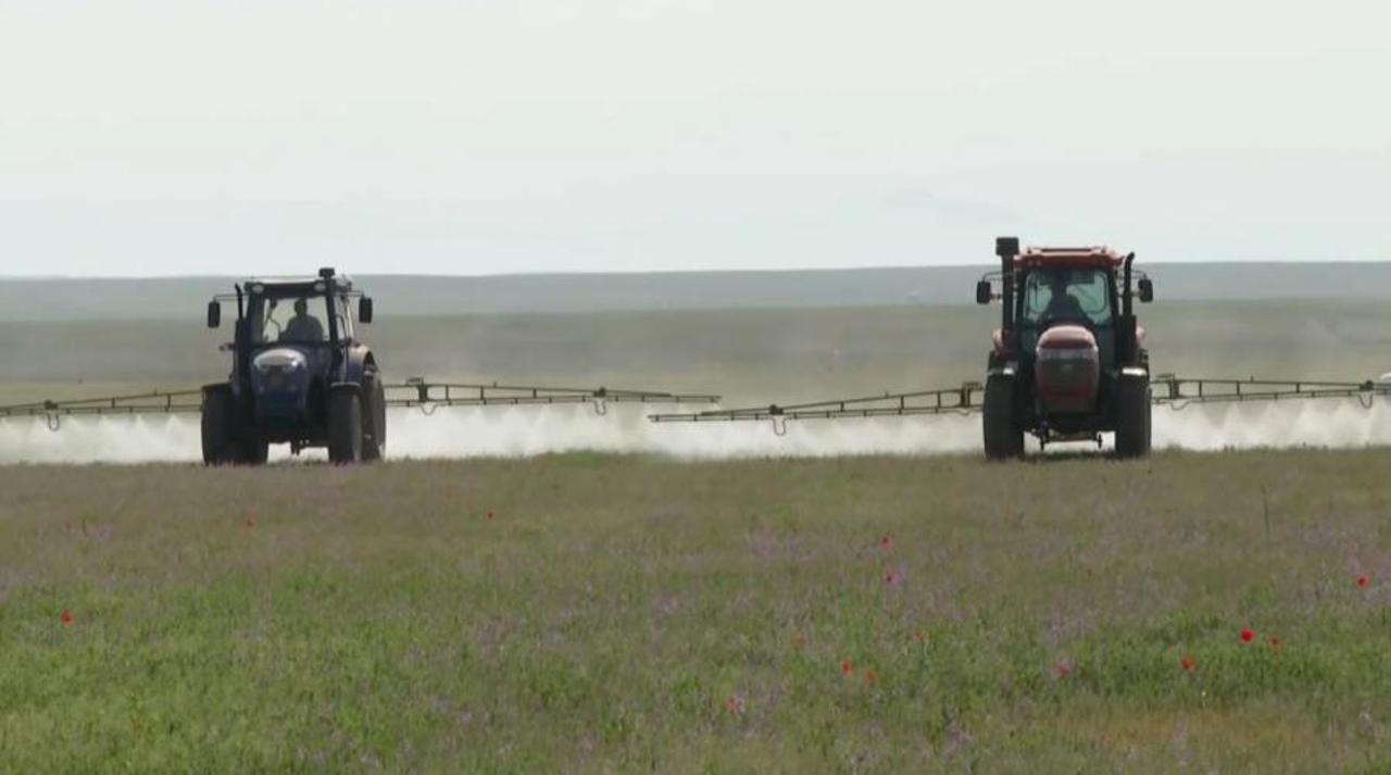 شەگىرتكەمەن كۇرەس ماقساتىندا 1,4 ملن گەكتاردان استام اۋىل شارۋاشىلىعى القابى وڭدەلدى