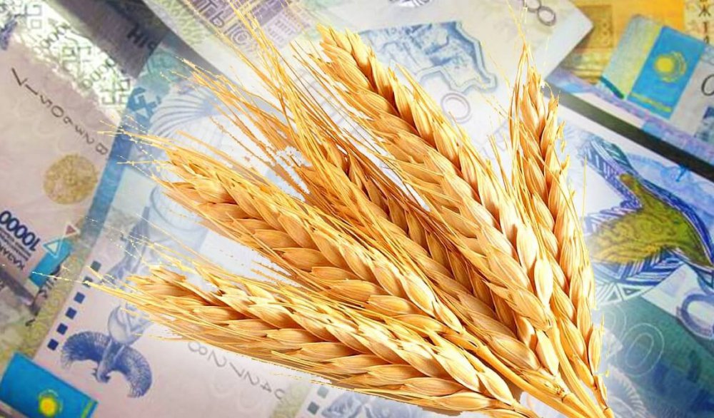 ازىق-ت ۇلىك كورپوراتسياسى بيداي ەكسپورتىنا سۋبسيديا تولەي باستادى