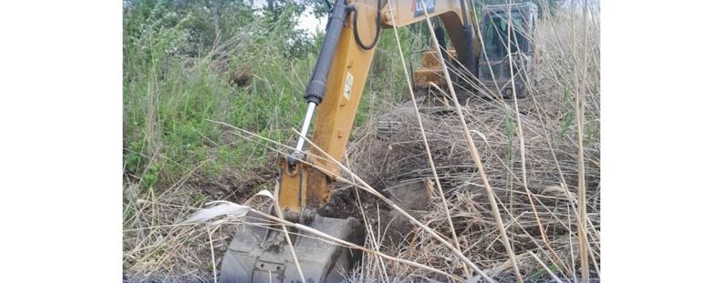 شقو-دا سۋارۋ كانالى تازارتىلدى