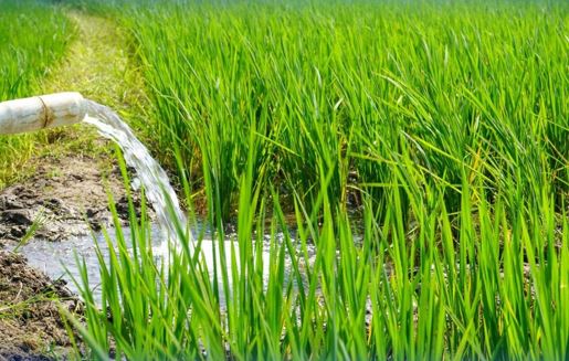 قىزىلوردا وبلىسىندا شارۋا قوجالىقتارى سۋدى زاڭسىز پايدالانعان