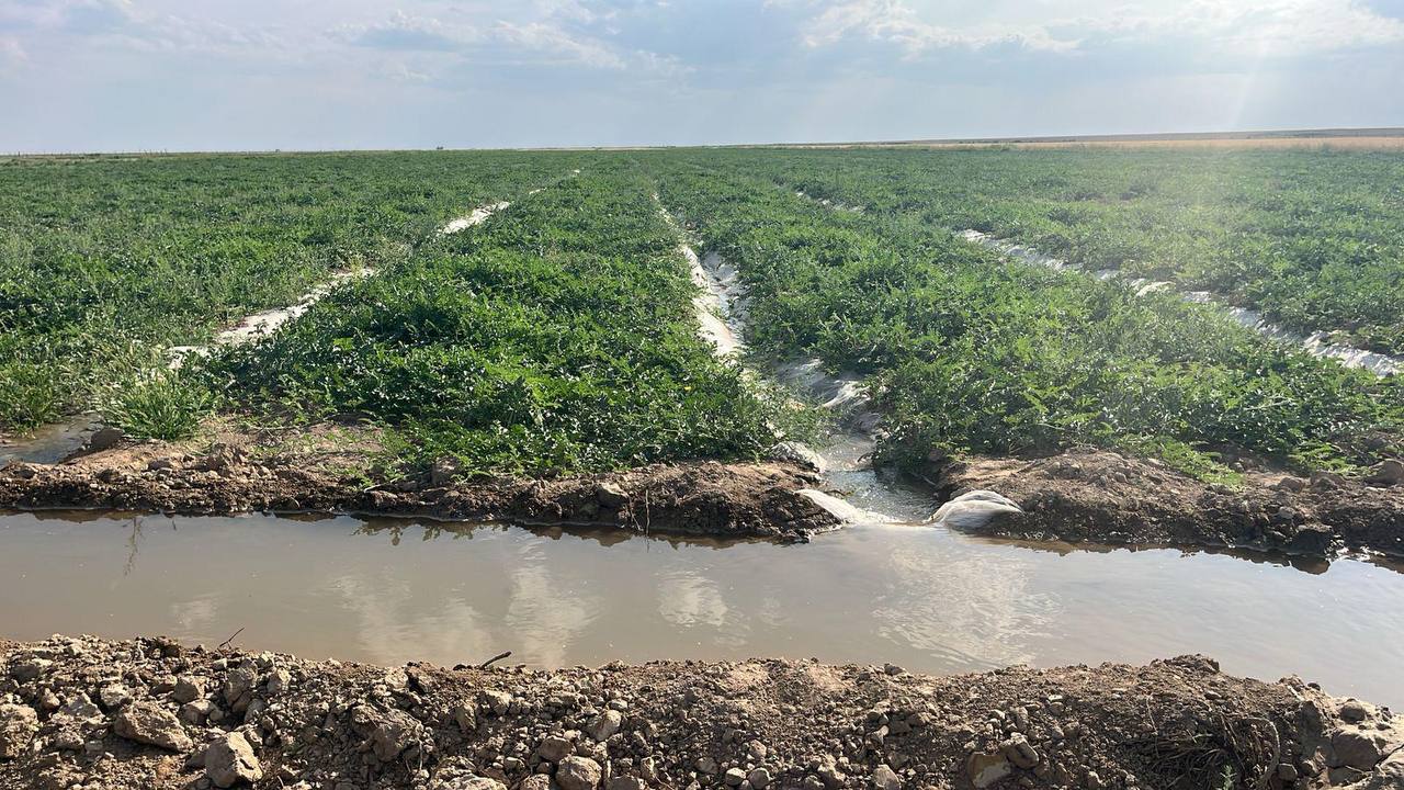 قىزىلوردا وبلىسىنىڭ ديقاندارىنا سۋ بەرىلدى