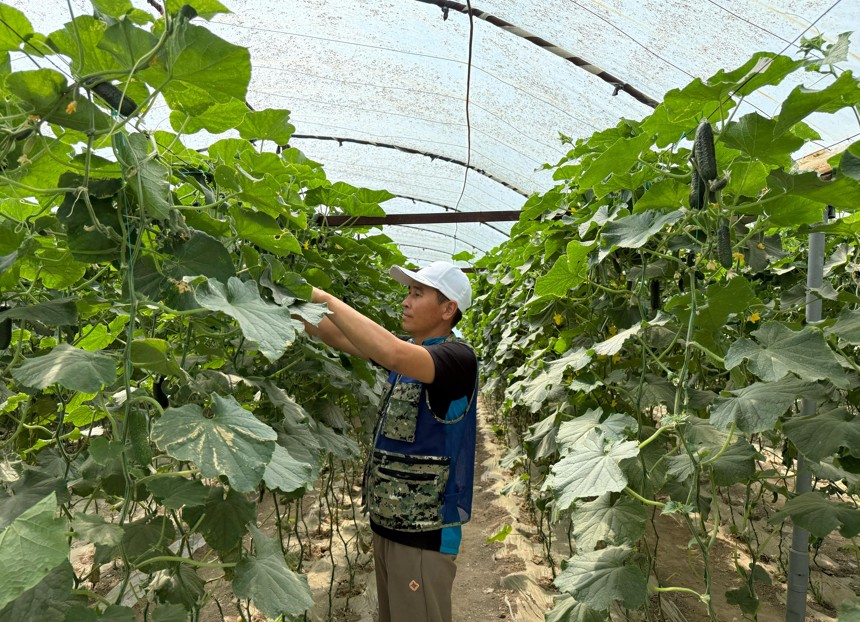 ەڭبەك ەتكەن بەرەكەگە كەنەلەدى