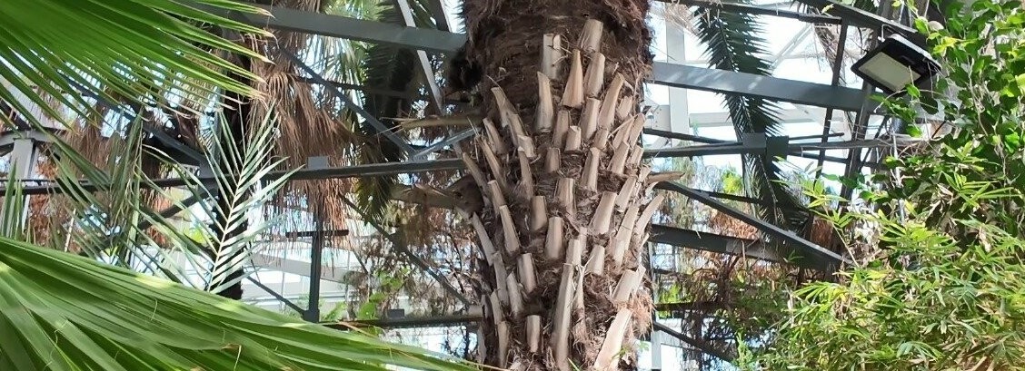 قىزىلجاردا قۇرما ءپىسىپ, قارق قىلدى