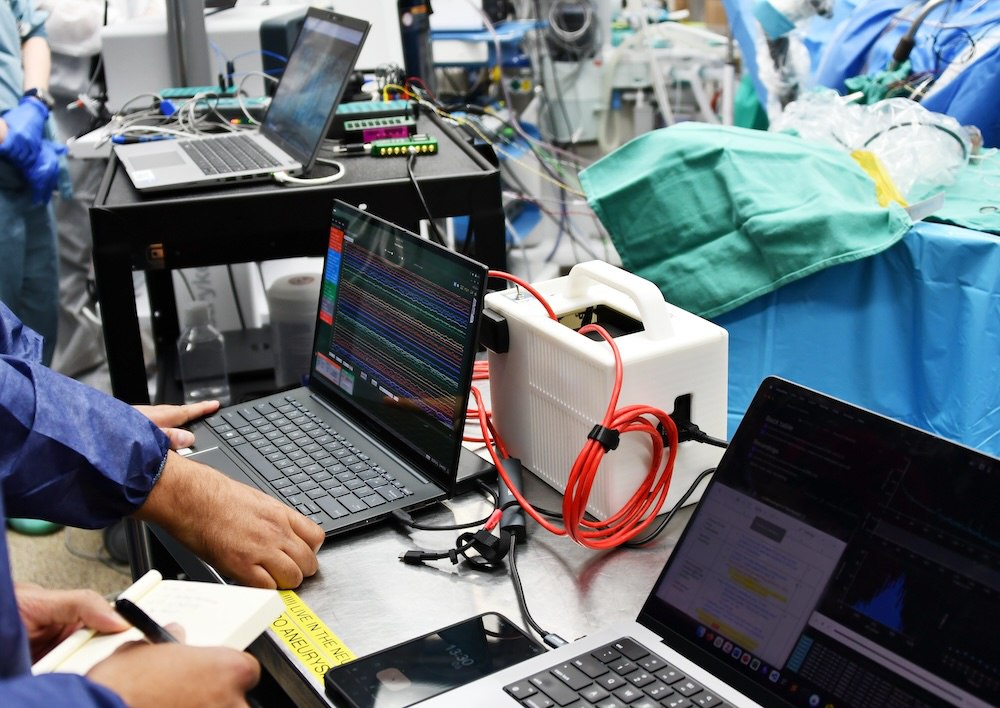 مي يمپلانتى ورناتىلدى