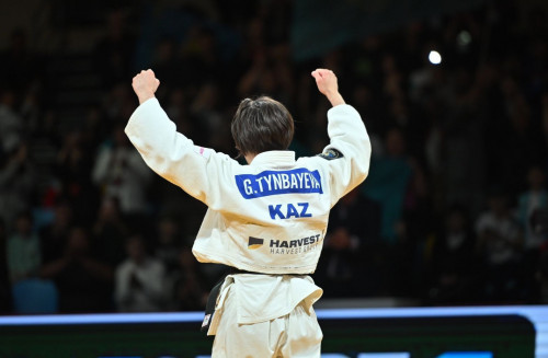 عاليا تىنباەۆا الەم چەمپيوناتىنىڭ العاشقى كەزەڭىندە جەڭىلىپ قالدى