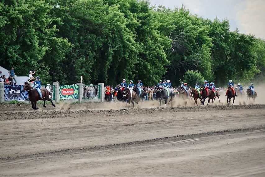 جۇيرىكتەر شىقتى جارىسقا