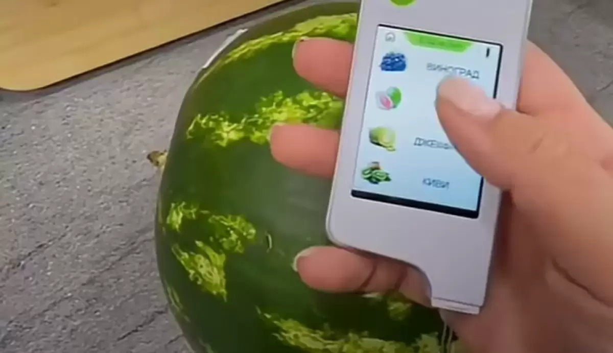 ماۋسىم ايىندا قاربىز جەۋگە بولا ما؟