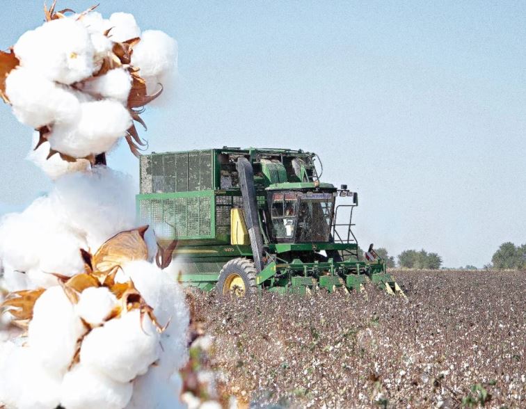 ماقتا شارۋاشىلىعىندا ماسەلە كوپ