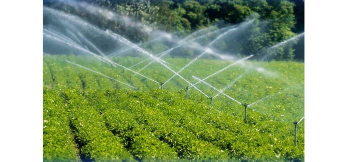 بيىل ديقاندارعا بىلتىرعىدان 335 ملن تەكشە مەترگە ارتىق سۋ بەرىلدى