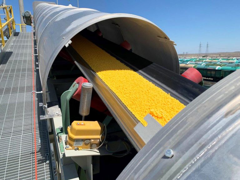 كۇكىرت قۇندى ونىمگە اينالادى