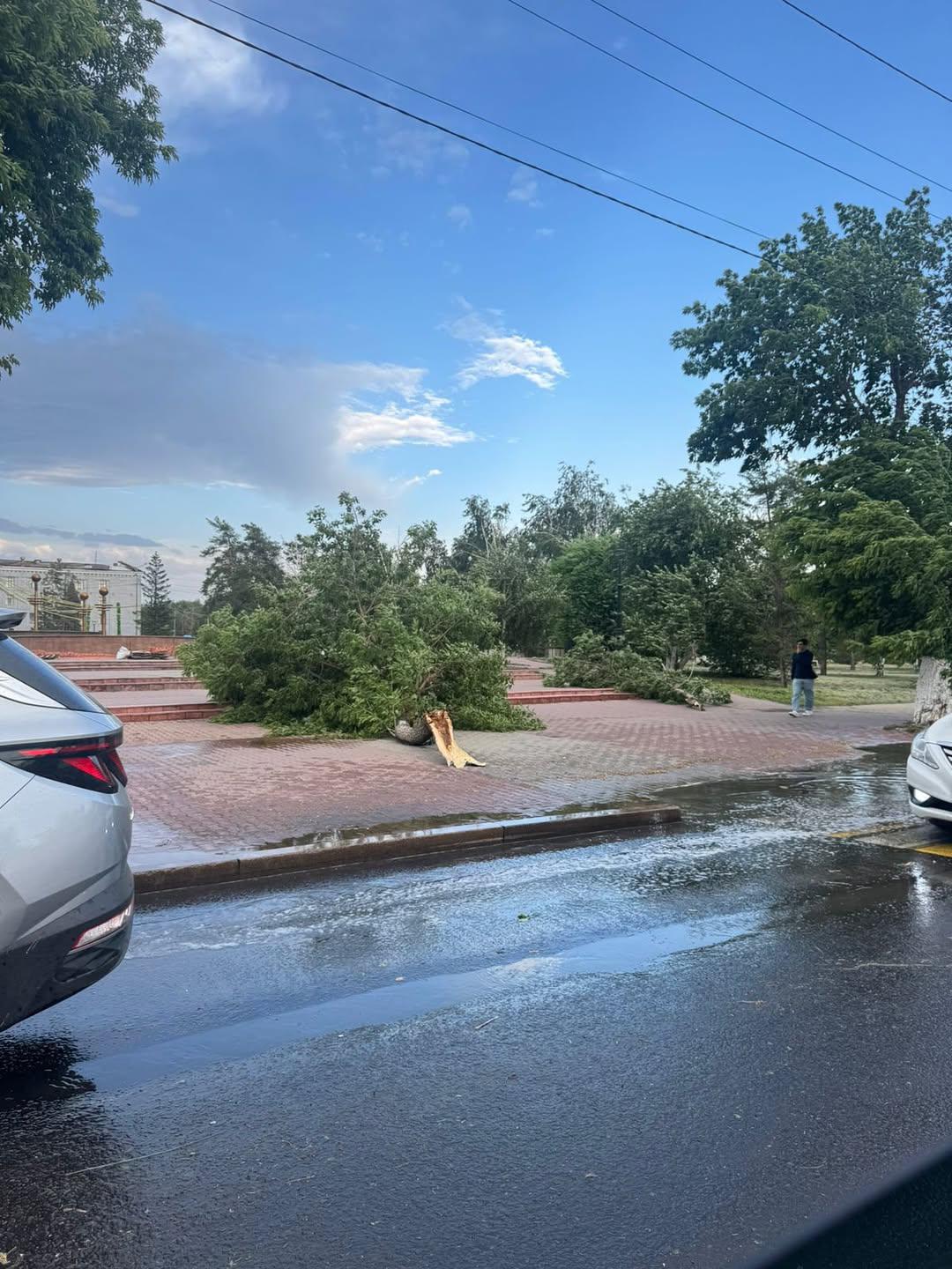 پاۆلودار وبلىسىندا داۋىلدان 16 ادام زارداپ شەككەن