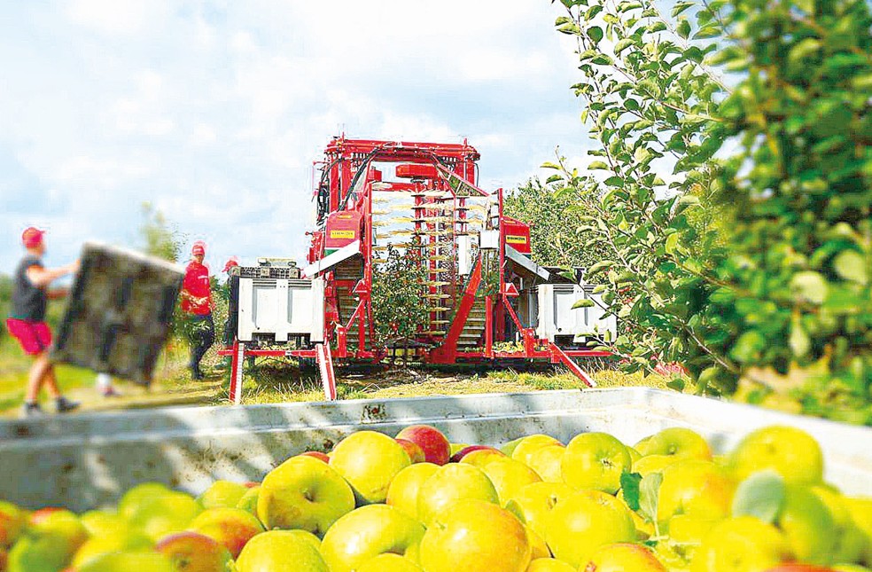 90 توننا ءونىم جينايدى