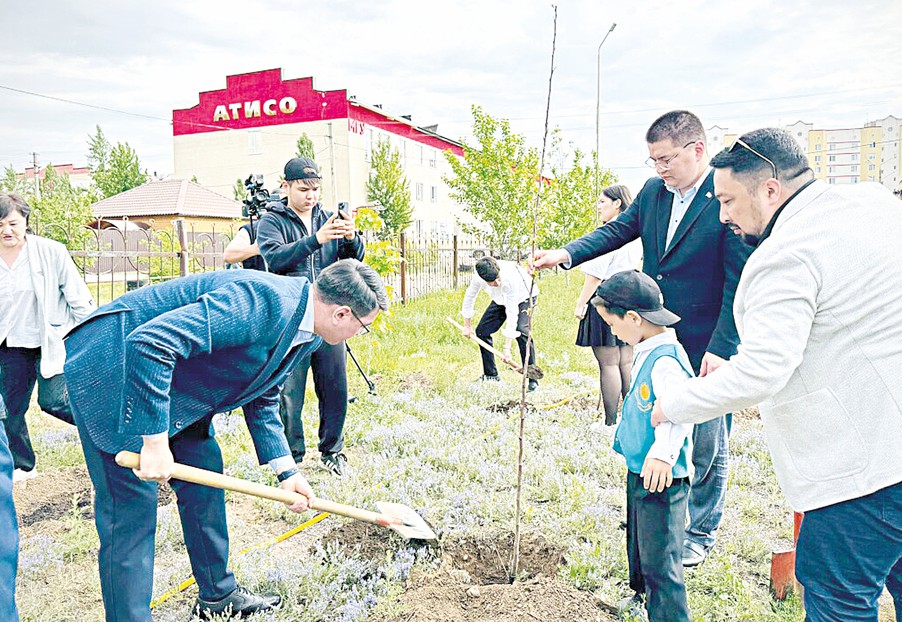 اقجايىقتا 238,2 مىڭ كوشەت ەگىلەدى