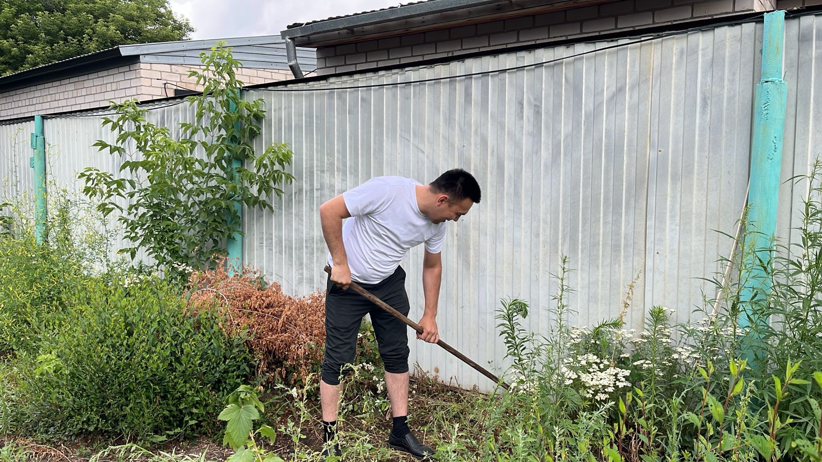 ۆولونتەرلار قارتتارعا قولقابىس جاسادى