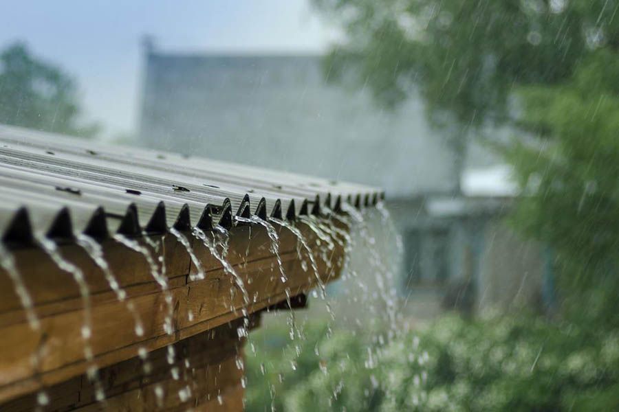 ەلىمىزدە كۇن كۇركىرەپ, جاڭبىر جاۋادى