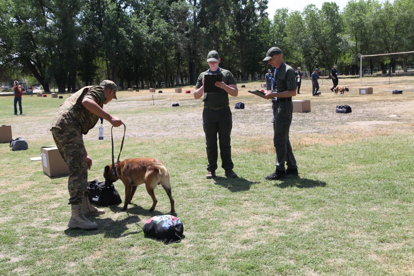 تروتيل يىسىنەن تايسالمايتىندار