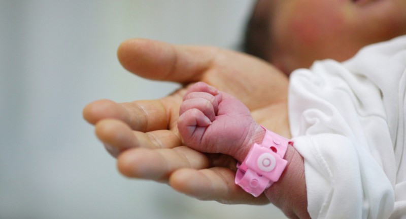 «قازاقستان بالالارى»: ەلىمىزدە ارنايى باعدارلاما ازىرلەنىپ جاتىر