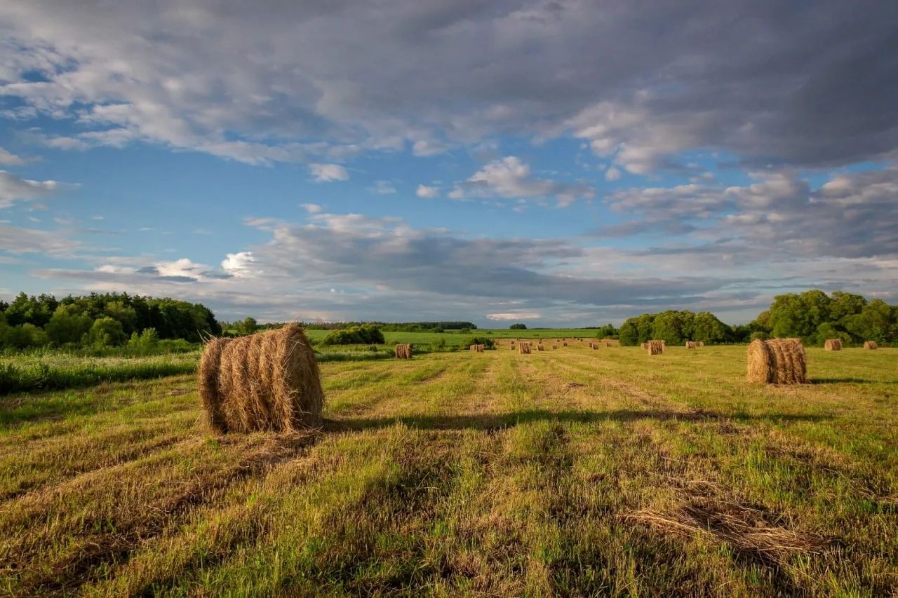 شابىندىق ماسەلەسى شەشىمىن تابادى