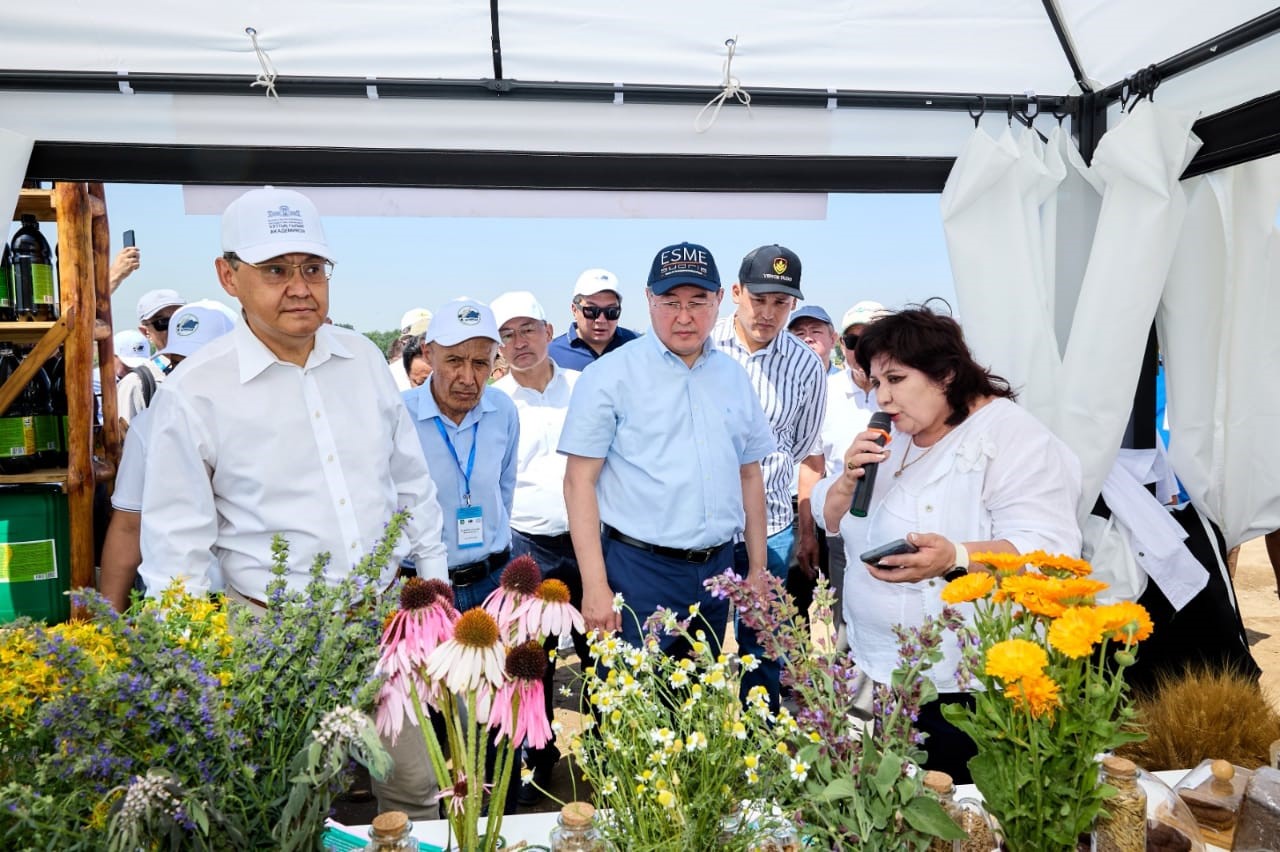 ورگانيكالىق جانە كومىرتەكتى ەگىنشىلىك – ۋاقىت تالابى