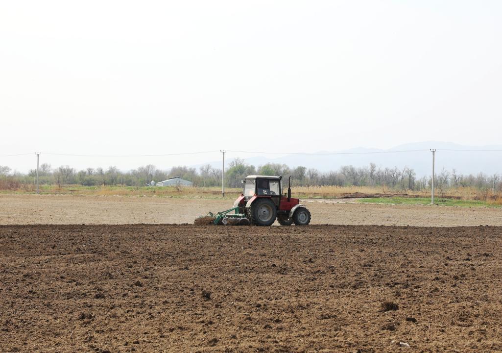 كوكتەمگى دالا جۇمىستارى اياقتالدى