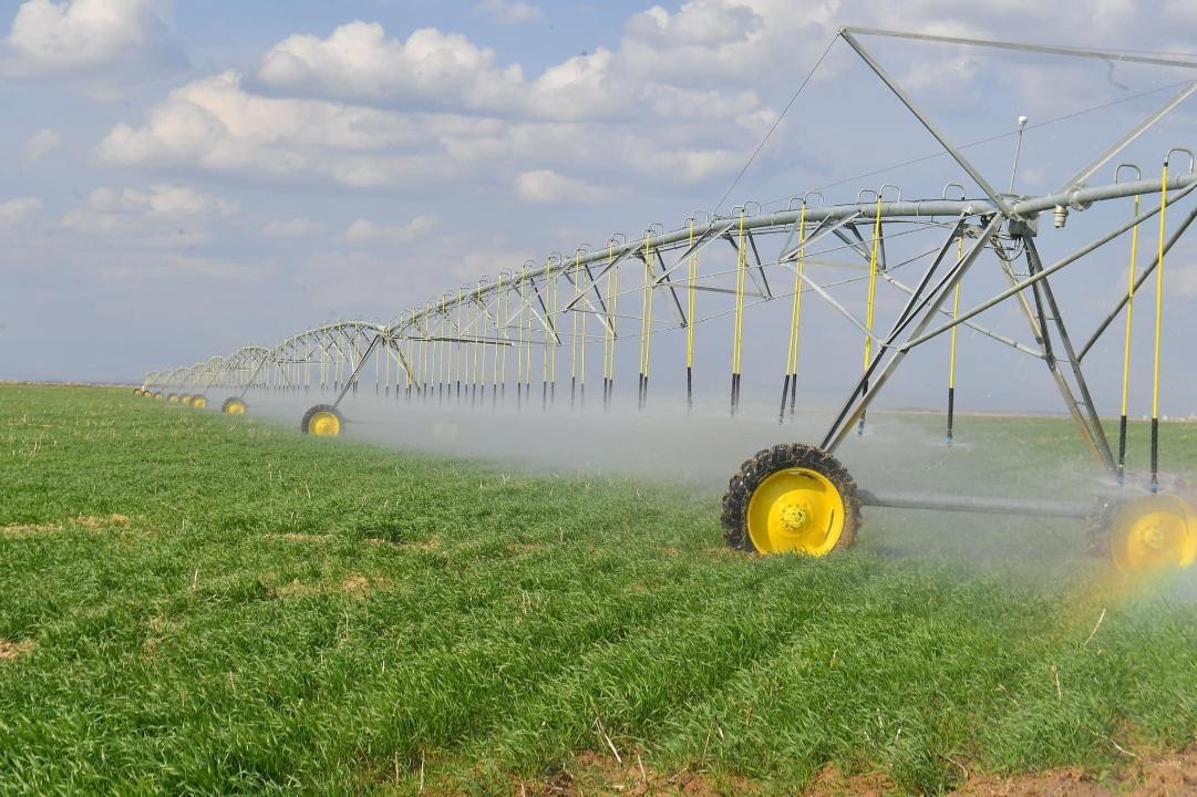 تۇركىستان وبلىسىندا قۋاڭشىلىقپەن كۇرەس ءجۇرىپ جاتىر