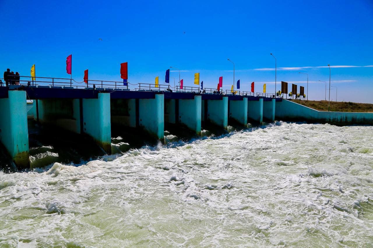 قىزىلوردادا «كوكارال» بوگەتى قالپىنا كەلتىرىلىپ جاتىر