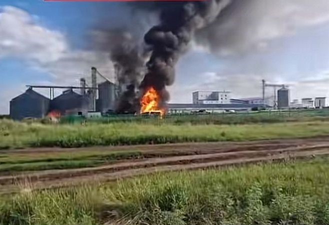 توعىز ادام كۇيىك جاراقاتىن الدى