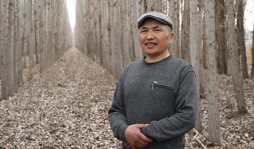 كوكتەرەكپەن كوركەيگەن ەركىن