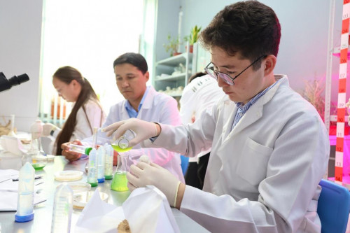 ەكوجۇيەنى وسىمدىكپەن قالپىنا كەلتىرۋ ءادىسى تابىلدى