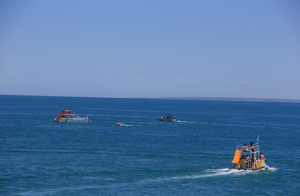 جەتىسۋعا جەتەلەيتىن جەتى سەبەپ