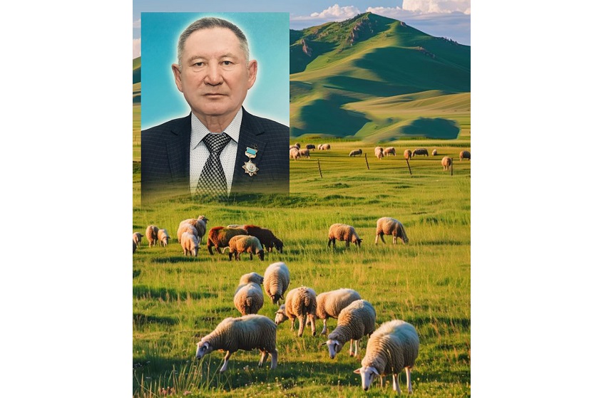 ىسكەرلىگى مەن مادەنيەتى ۇيلەسكەن