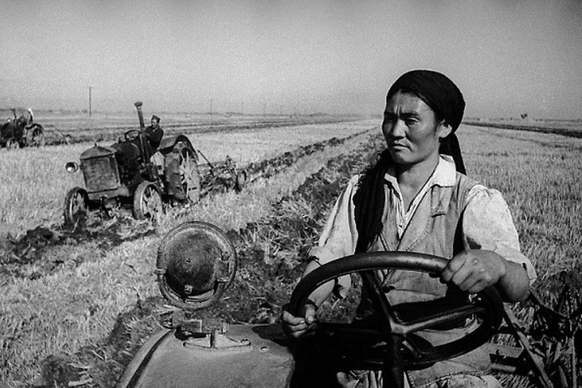 تراكتور تىزگىندەگەن ايەلدەر