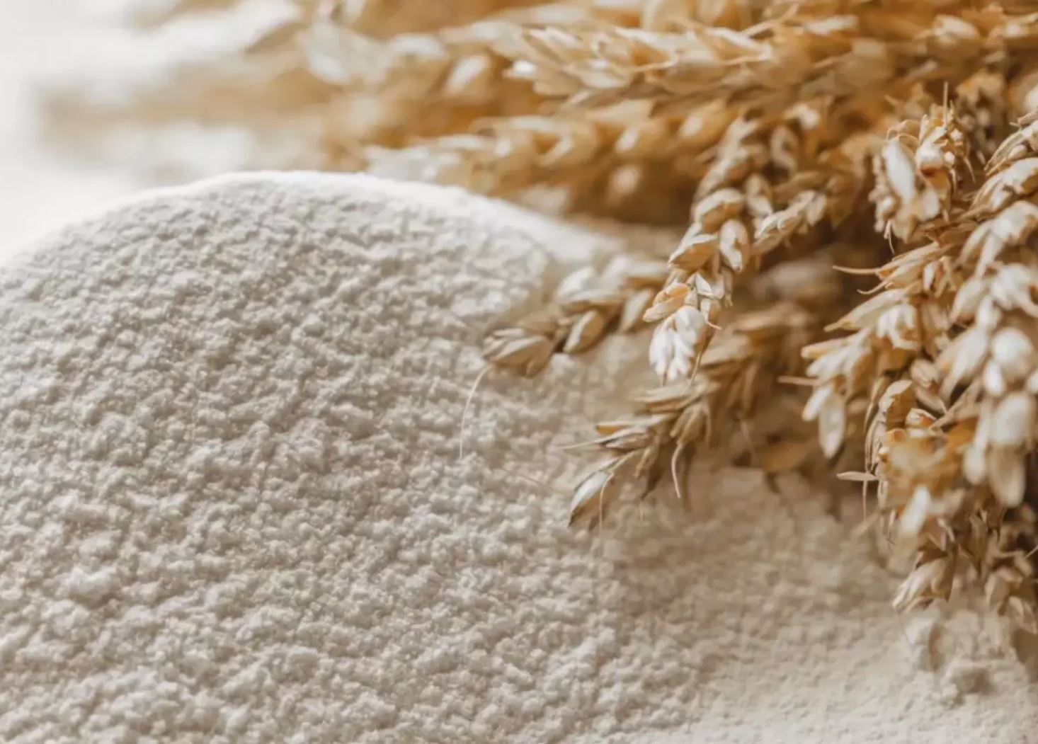 ۇن تارتۋشىلاردىڭ ۇپايى تۇگەلدەنەدى