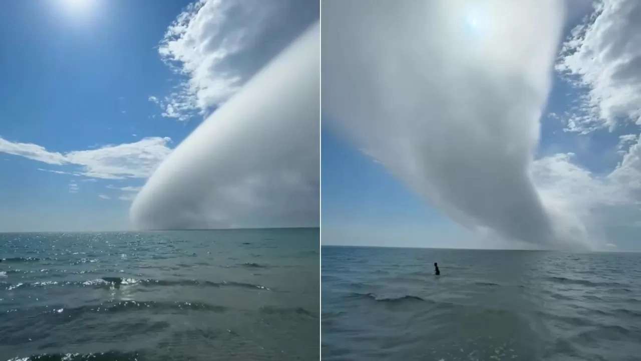 اقتاۋ تۇرعىندارى اسپانداعى تاڭعاجايىپ كورىنىستىڭ كۋاسى بولدى