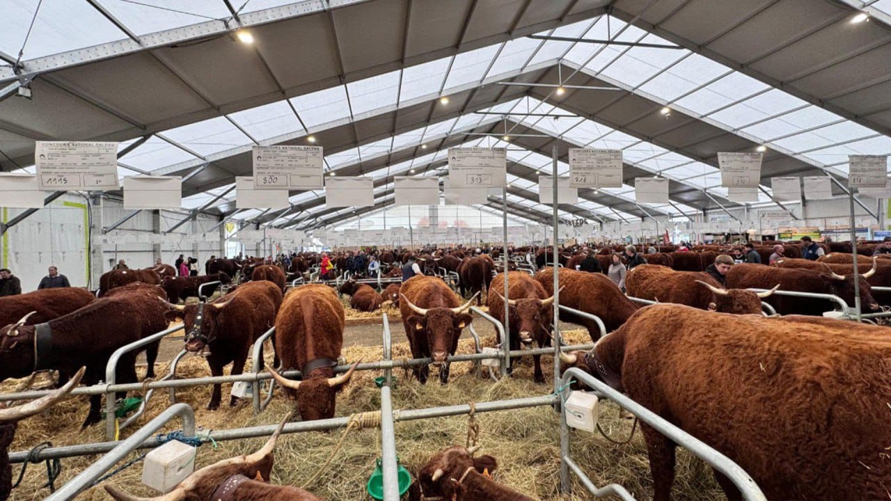 سقو-دا 22 ءىرى ينۆەستيتسيالىق اگروجوبا ىسكە اسىرىلادى