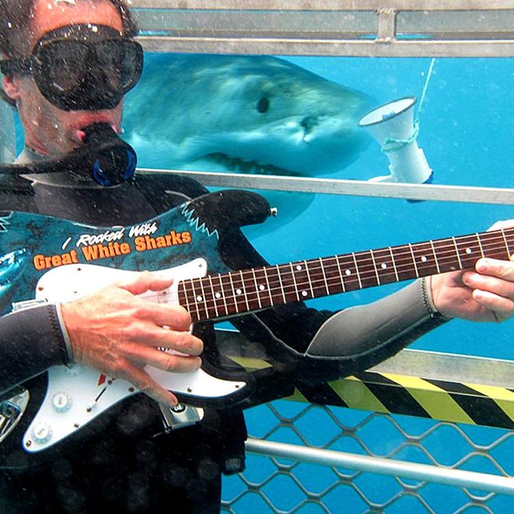 اكۋلا دا ءان تىڭدايدى