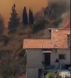 فرانتسيانىڭ وڭتۇستىگىندە ورمان وتقا وراندى