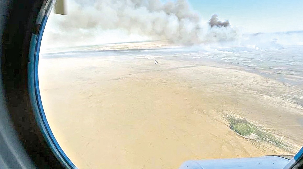 قامىس ءورتى نەگە ءجيى قايتالانادى؟