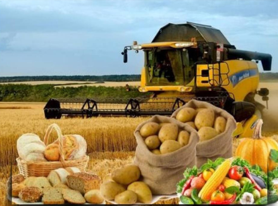 قازاقستاندا تاماق ونىمدەرىنىڭ ءوندىرىسى ارتتى