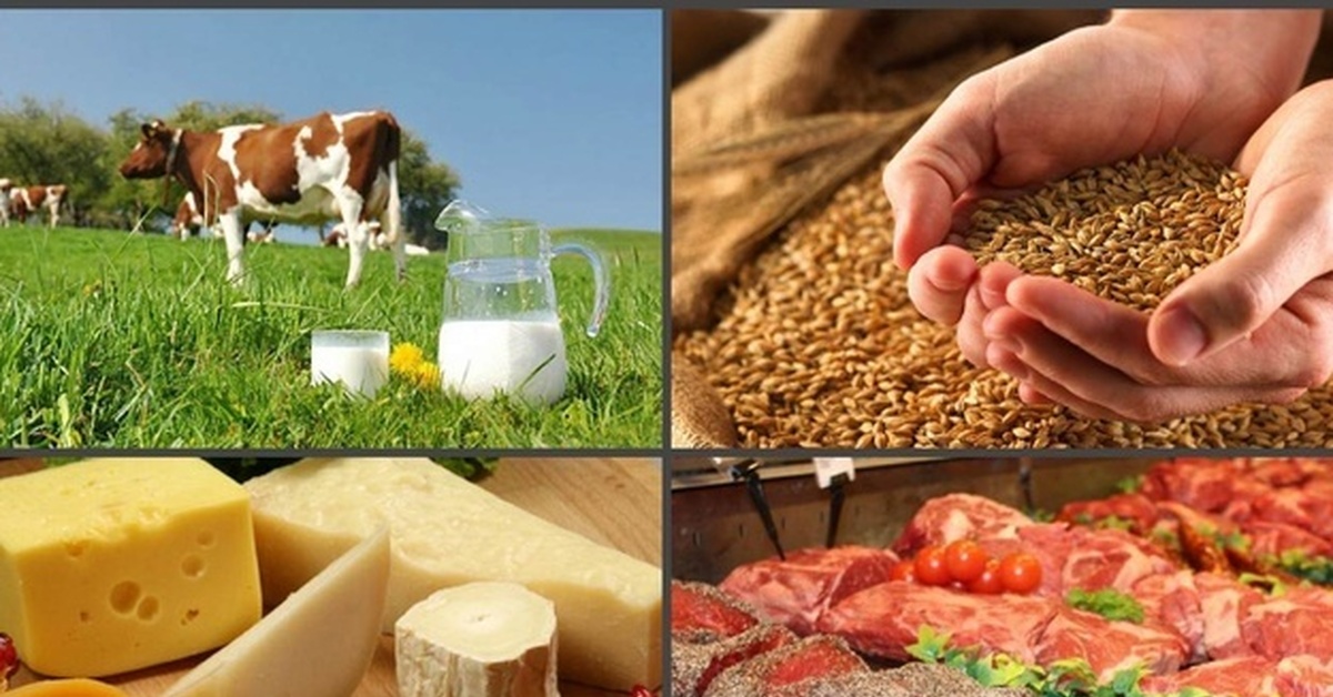 ەەك ەلىمىزدىڭ اگرووڭدەۋ سالاسىنداعى تاجىريبەسىنە شولۋ جاسادى